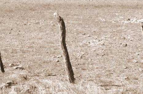 Línea de alambre instalado en 1890